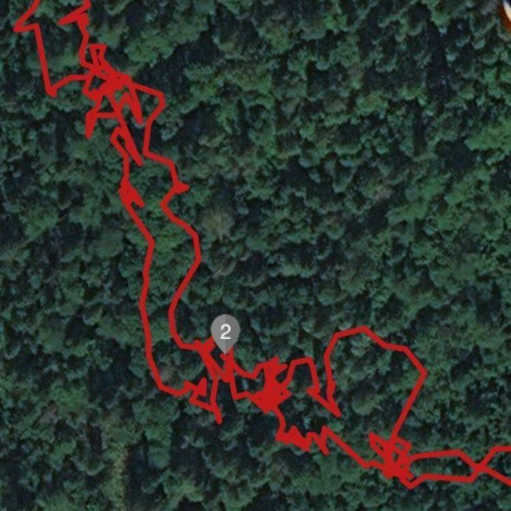KUN GPS: I skog og med kun GPS har Garmin Fenix 5 store problemer med å registrere riktig posisjon. Her har jeg tilsynelatende svinset rundt som en hund langs stien. KUN GPS: I skog og med kun GPS har Garmin Fenix 5 store problemer med å registrere riktig posisjon. Her har jeg tilsynelatende svinset rundt som en hund langs stien.