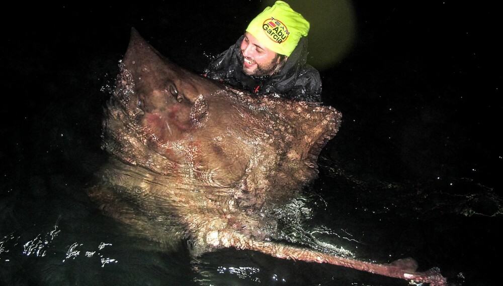NOVEMBERSVØMMING: Her svømmer Bjørn Florø-Larsen med en svartskate på 172 centimeter og 33 kilo. NOVEMBERSVØMMING: Her svømmer Bjørn Florø-Larsen med en svartskate på 172 centimeter og 33 kilo.