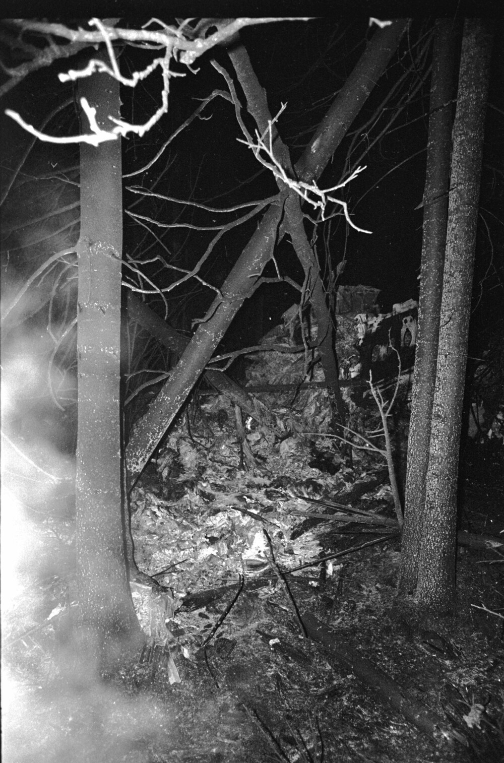 UTBRENT: De fleste passasjerene var sjanseløse da Braathen´s-flyet «Sverre Sigurddson» havarerte i skogen i Asker lille julaften 1972. Av de 45 ombord overlevde bare fem. UTBRENT: De fleste passasjerene var sjanseløse da Braathen´s-flyet «Sverre Sigurddson» havarerte i skogen i Asker lille julaften 1972. Av de 45 ombord overlevde bare fem.