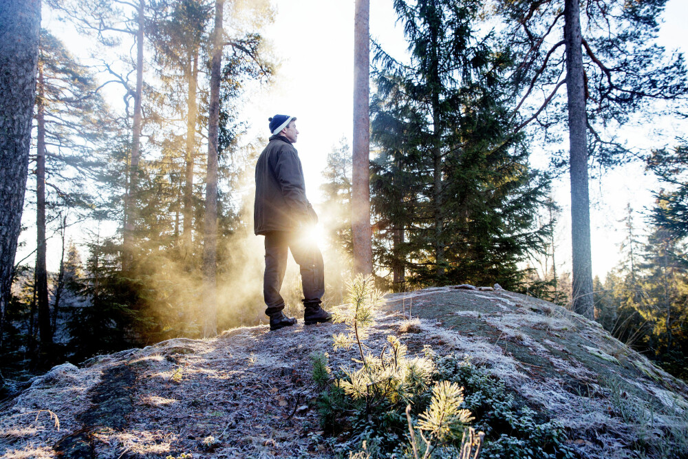 UTSIKTEN: Grov skog og utsyn til vann skaper en trygghetsfølelse, mener Dag Olav Hessen. UTSIKTEN: Grov skog og utsyn til vann skaper en trygghetsfølelse, mener Dag Olav Hessen.