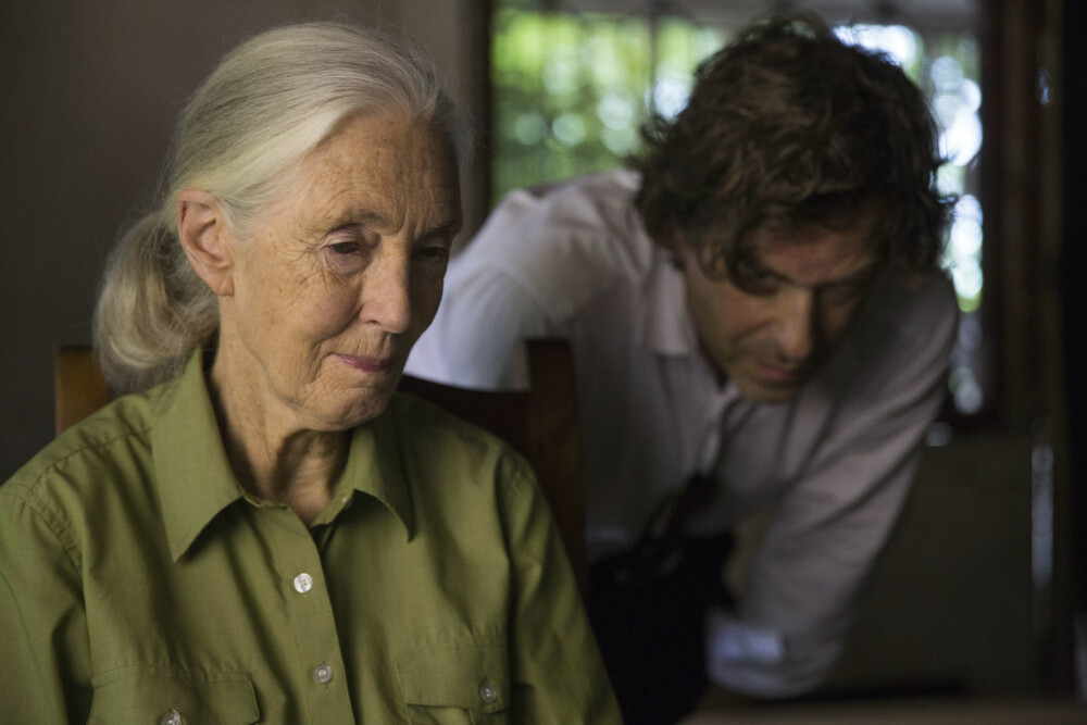 NY DOKUMENTAR: Forsker Jane Goodall (83) lar seg intervju av regissør Brett Morgan i forbindelse med dokumentaren «Jane». NY DOKUMENTAR: Forsker Jane Goodall (83) lar seg intervju av regissør Brett Morgan i forbindelse med dokumentaren «Jane».