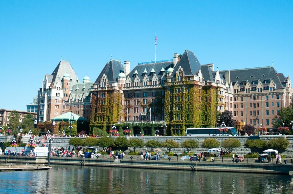 BANNLYST: På luksushotellet Empress Hotel i Victoria, Canada, hadde en gjest en uheldig situasjon med en flokk måker. Uhellet førte til at han ble bannlyst på evig tid. BANNLYST: På luksushotellet Empress Hotel i Victoria, Canada, hadde en gjest en uheldig situasjon med en flokk måker. Uhellet førte til at han ble bannlyst på evig tid.