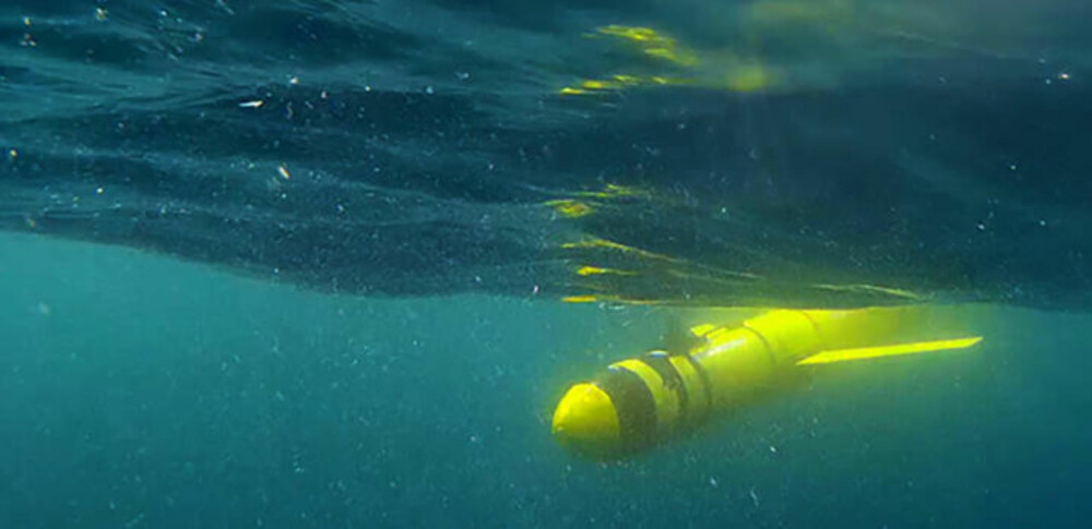 SEAGLIDER: Undervanns-robotene er på størrelse med mennesker. SEAGLIDER: Undervanns-robotene er på størrelse med mennesker.