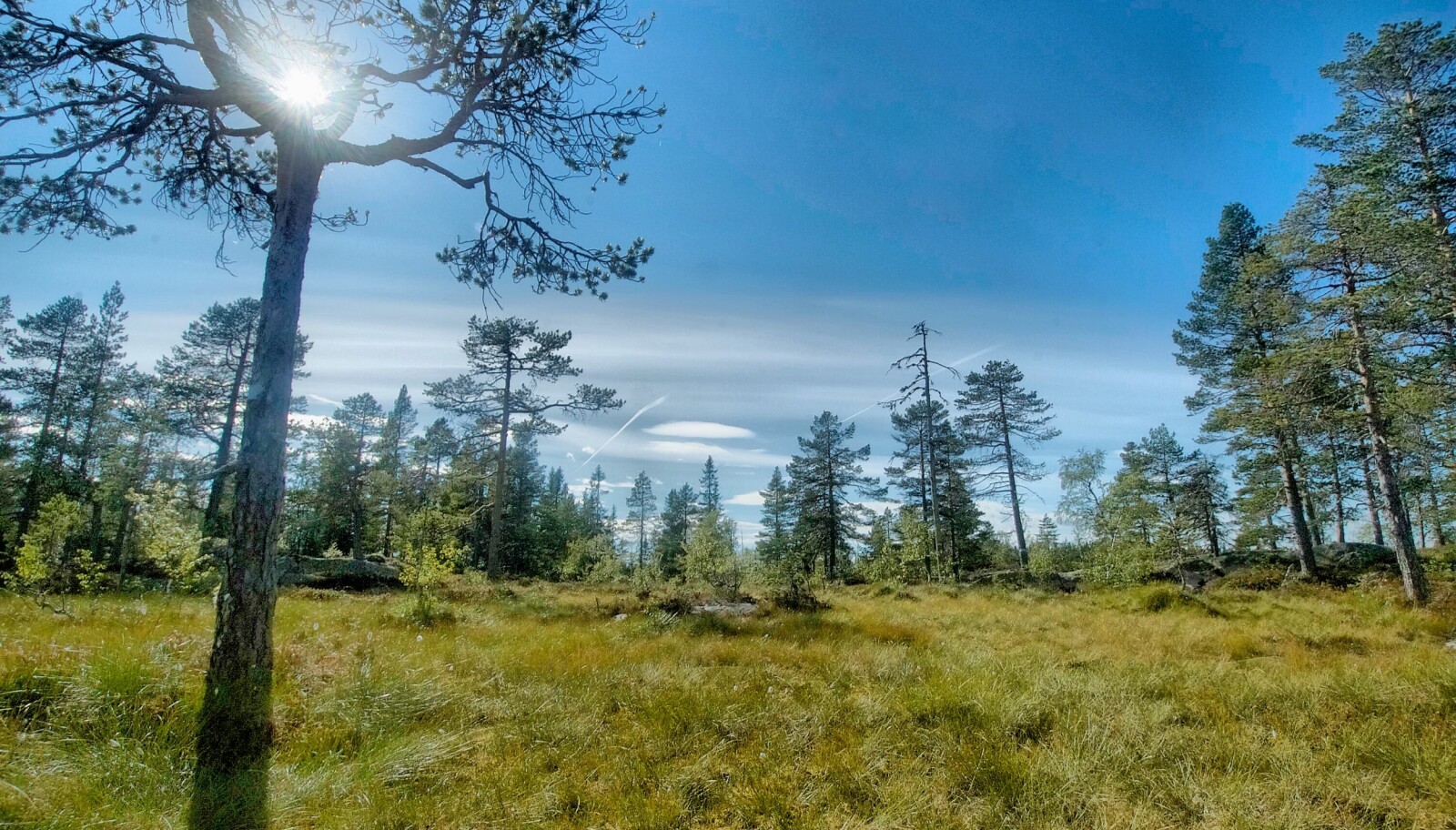 JAKOBSTIGEN: Et lite navnløst vann på vei inn mot Lårvika JAKOBSTIGEN: Et lite navnløst vann på vei inn mot Lårvika