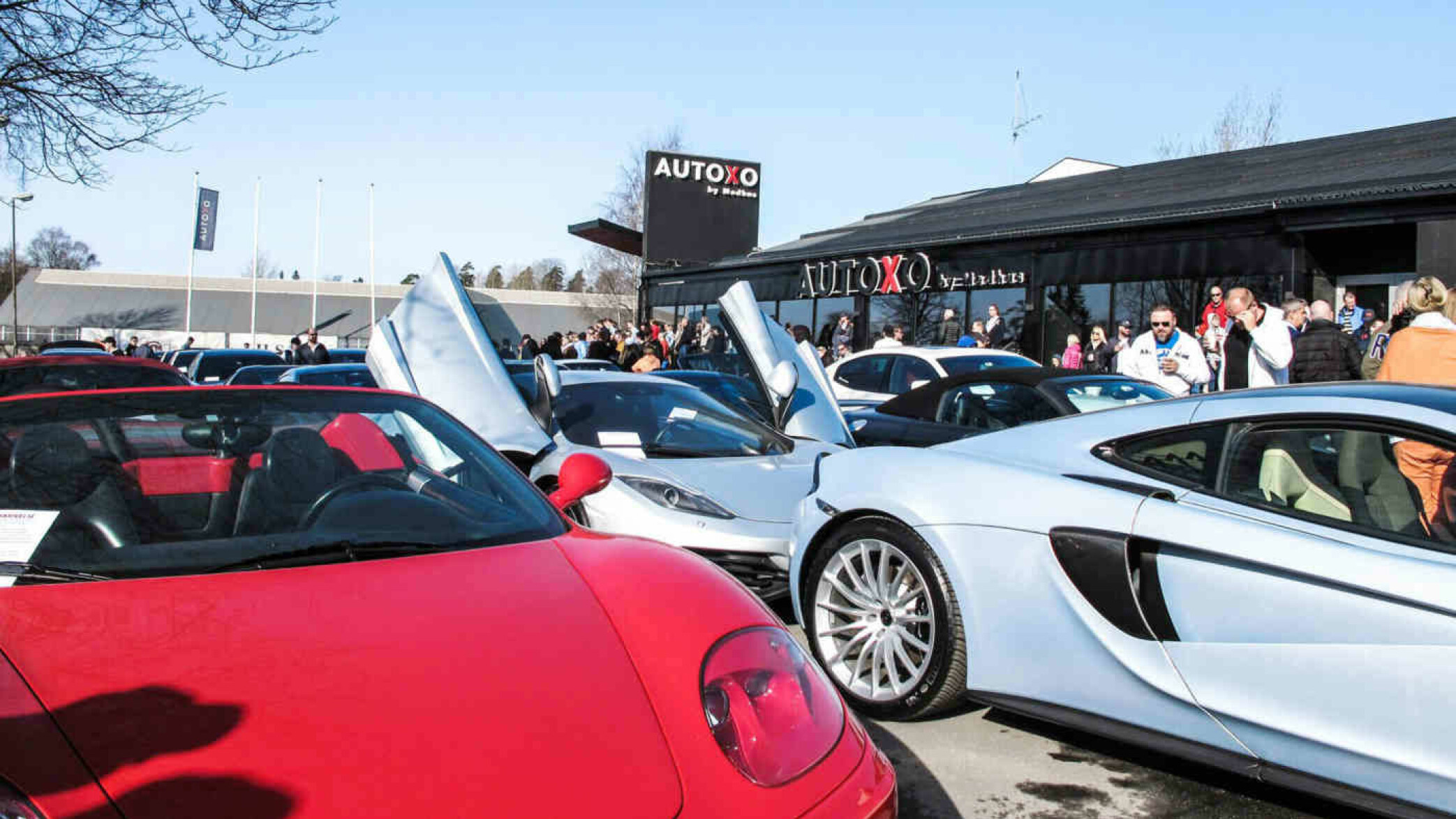 Autoxo har aldri levert ut flere nye superbiler fra Ferrari og Lamborghini. Autoxo har aldri levert ut flere nye superbiler fra Ferrari og Lamborghini.
