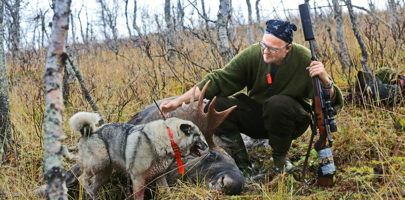 Artikkelforfatteren med en av elgene skutt tett innpå postene. Og med ett var det hele snudd fra mismot til lutter glede. Jakt er rart sånn sett. Artikkelforfatteren med en av elgene skutt tett innpå postene. Og med ett var det hele snudd fra mismot til lutter glede. Jakt er rart sånn sett.