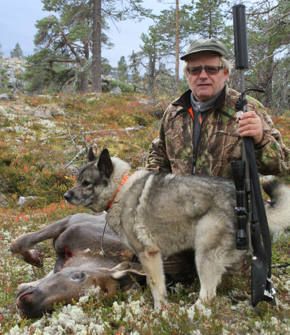 Jerv og eier jan Erik med kalven. En skummel duo for elg, dette. Jerv og eier jan Erik med kalven. En skummel duo for elg, dette.