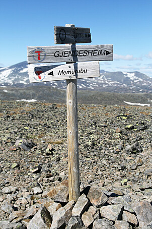 <b>MERKET:</b> Ruten over
Besseggen er meget godt
merket med Turistforeningens
røde t-er. <b>MERKET:</b> Ruten over
Besseggen er meget godt
merket med Turistforeningens
røde t-er.