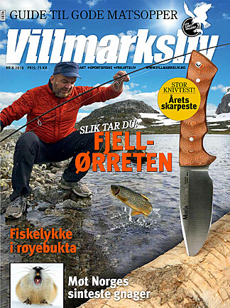 <b>BLI ABONNENT:</b> Denne artikkelen er publisert i samarbeid med Villmarksliv. <b>BLI ABONNENT:</b> Denne artikkelen er publisert i samarbeid med Villmarksliv.