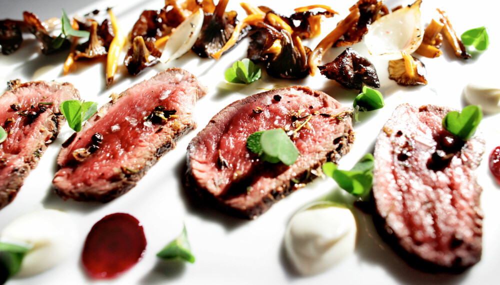 <b>ELG:</b> Elgkjøtt er favoritten til mange, men det finnes flere alternativer om du er glad i smaken av norsk natur. <b>ELG:</b> Elgkjøtt er favoritten til mange, men det finnes flere alternativer om du er glad i smaken av norsk natur.
