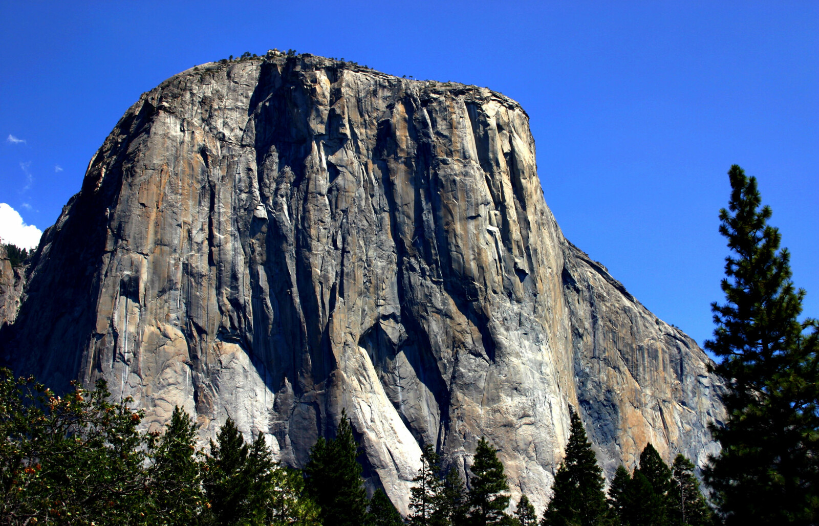 <b>FRYKTET VEGG:</b> El Capitan-veggen er neste 1000 meter høy. <b>FRYKTET VEGG:</b> El Capitan-veggen er neste 1000 meter høy.