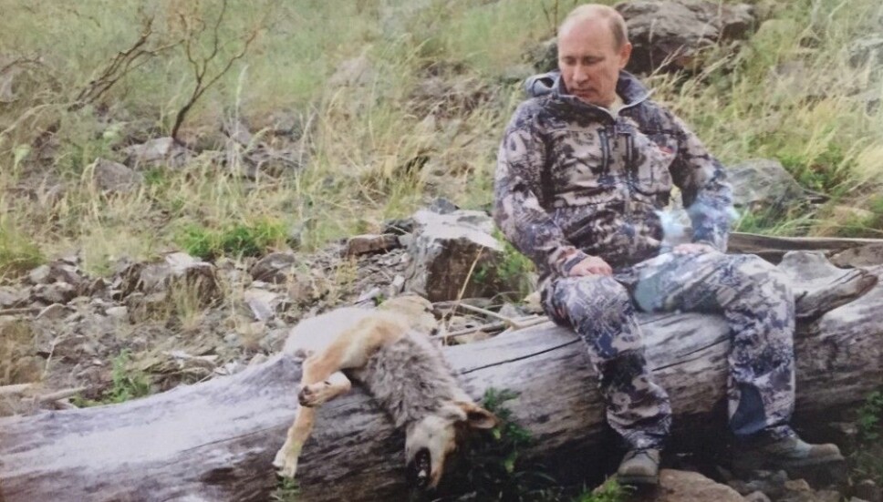 <b>SKJØT ULV:</b> I jakthytta Espen Haugeland overnattet med jaktlaget sitt, hang dette bildet av Russlands president, Vladimir Putin. Ulven skal være skutt av Putin. <b>SKJØT ULV:</b> I jakthytta Espen Haugeland overnattet med jaktlaget sitt, hang dette bildet av Russlands president, Vladimir Putin. Ulven skal være skutt av Putin.