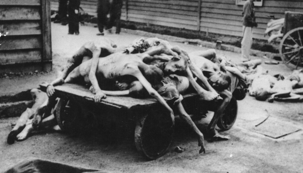 Drepte fanger i Auschwitz. Bildet er tatt rundt 1943. Drepte fanger i Auschwitz. Bildet er tatt rundt 1943.