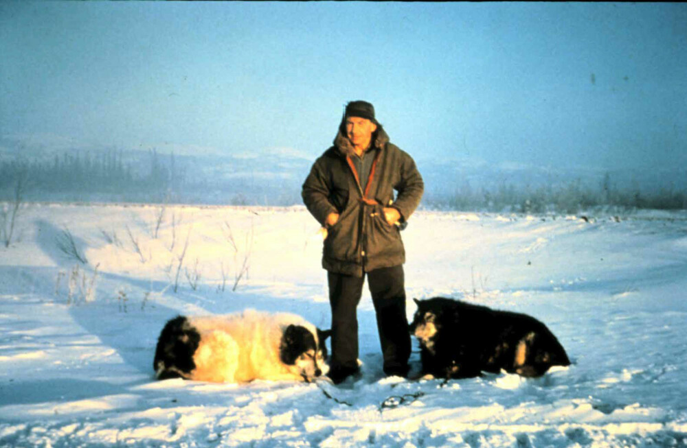 HARDHAUS: Hjalmar Dale med to av sine hunder vinteren 1960–61. HARDHAUS: Hjalmar Dale med to av sine hunder vinteren 1960–61.