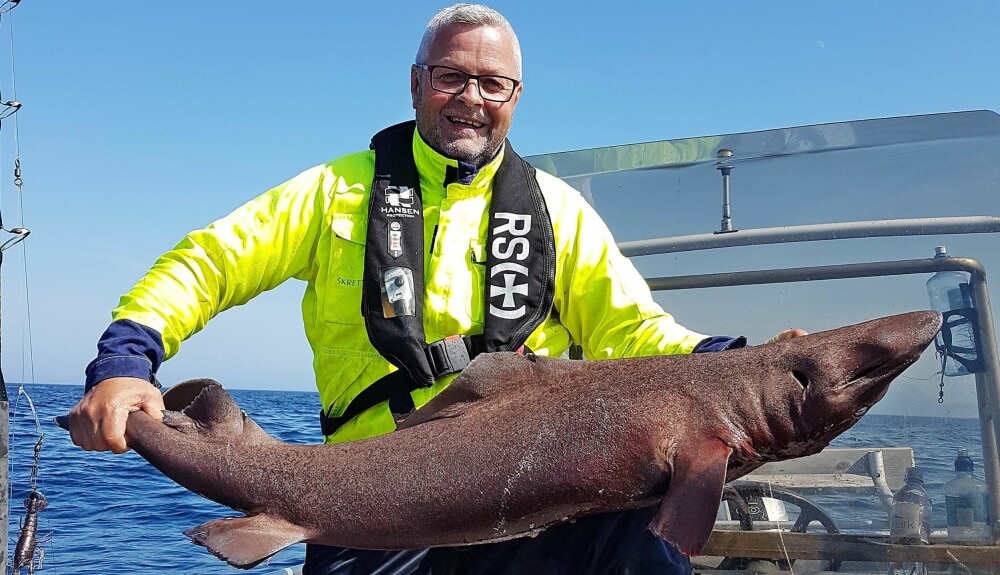 TROLIG ALDRI TIDLIGERE REGISTRERT I NORGE: Først da han fikk fisken opp i båten skjønte Arnt Grødal at det var en hai som hadde lagt og duppet i overflaten. Arten er trolig aldri tidligere registrert i Norge. TROLIG ALDRI TIDLIGERE REGISTRERT I NORGE: Først da han fikk fisken opp i båten skjønte Arnt Grødal at det var en hai som hadde lagt og duppet i overflaten. Arten er trolig aldri tidligere registrert i Norge.