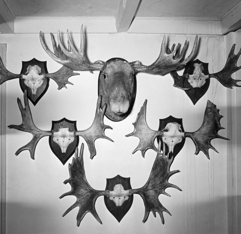<b>EGGE GÅRD BRANT: </b>7. mars 1970 brant den gamle, herskapelige hovedbygningen på Egge, store deler av samlingen av jakttrofeer og kunst gikk tapt. (Foto: Magne Midttun/ Norsk Skogmuseum) <b>EGGE GÅRD BRANT: </b>7. mars 1970 brant den gamle, herskapelige hovedbygningen på Egge, store deler av samlingen av jakttrofeer og kunst gikk tapt. (Foto: Magne Midttun/ Norsk Skogmuseum)