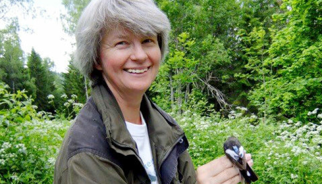 <b>HELENE MARIE LAMPE</b> Professor ved Institutt for biovitenskap på Universitetet i Oslo <b>HELENE MARIE LAMPE</b> Professor ved Institutt for biovitenskap på Universitetet i Oslo