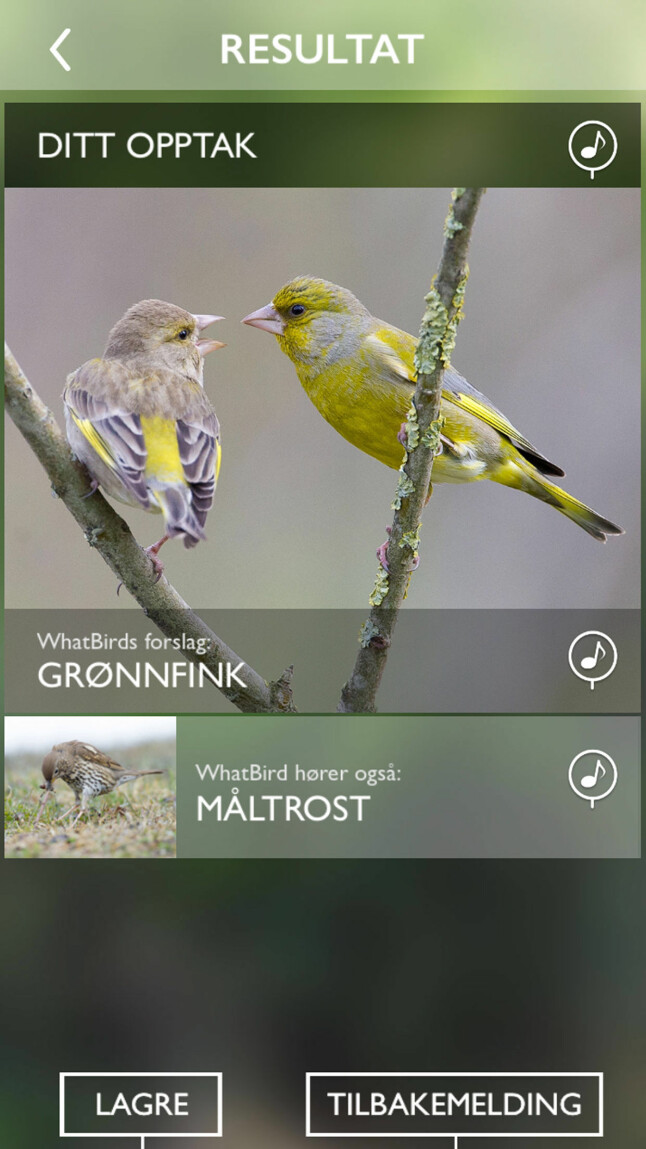 <b>NYTTIG APP</b> Ablemagic AS i Trondheim har utviklet en applikasjon til smarttelefonen som kan fortelle deg hva slags fugl du hører når du går ute i skogen. Appen heter WhatBird og kan lastes ned fra App Store og Google Play. <b>NYTTIG APP</b> Ablemagic AS i Trondheim har utviklet en applikasjon til smarttelefonen som kan fortelle deg hva slags fugl du hører når du går ute i skogen. Appen heter WhatBird og kan lastes ned fra App Store og Google Play.