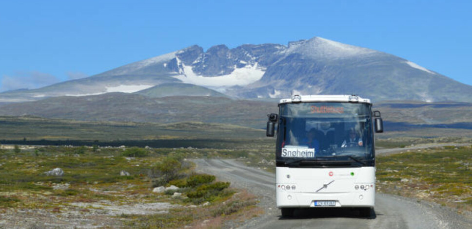 <b>TA BUSSEN:</b> Fylkesmannen i Oppland håper at så mange som mulig tar bussen inn til startpunktet til toppturen til Norges nasjonalfjell, Snøhetta for å skjerme villrein og moskus. <b>TA BUSSEN:</b> Fylkesmannen i Oppland håper at så mange som mulig tar bussen inn til startpunktet til toppturen til Norges nasjonalfjell, Snøhetta for å skjerme villrein og moskus.