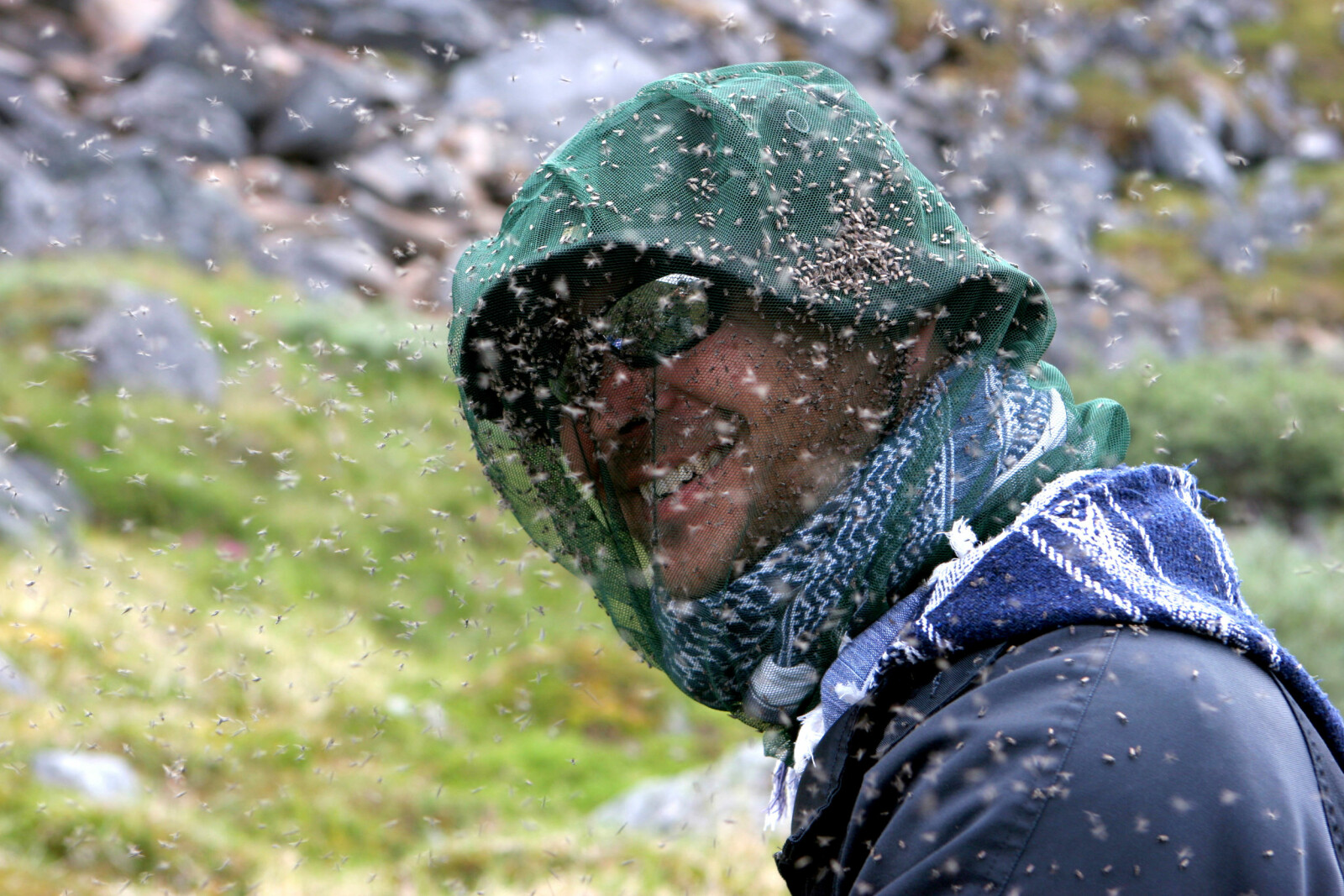 <b>PLAGEÅNDER:</b> Hvis sommeren skal nytes, må man finne løsninger som holder plageåndene unna! (Foto: Henrik Strømstad) <b>PLAGEÅNDER:</b> Hvis sommeren skal nytes, må man finne løsninger som holder plageåndene unna! (Foto: Henrik Strømstad)