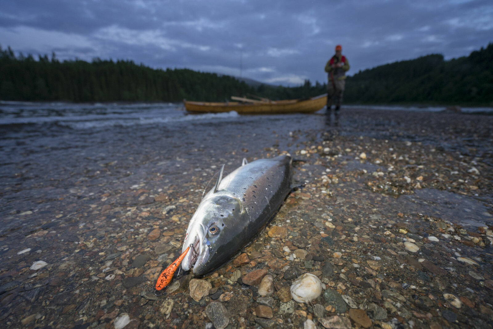 <b>WOBBLERLYKKE I SKUMRINGEN:</b> Timene rundt soloppgang og solnedgang er generelt gode fisketider. <b>WOBBLERLYKKE I SKUMRINGEN:</b> Timene rundt soloppgang og solnedgang er generelt gode fisketider.