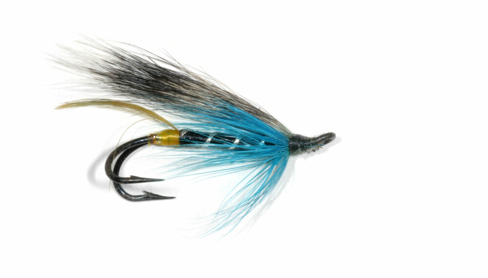 <b>Blue Charm:</b> En klassiker av en all round flue med blå undervinge, svart/brun overvinge og gul hale. Blue charm tok sin første dukkert i elva en gang på 1800-tallet, og har vist seg effektiv på både laks og sjøørret. <b>Blue Charm:</b> En klassiker av en all round flue med blå undervinge, svart/brun overvinge og gul hale. Blue charm tok sin første dukkert i elva en gang på 1800-tallet, og har vist seg effektiv på både laks og sjøørret.