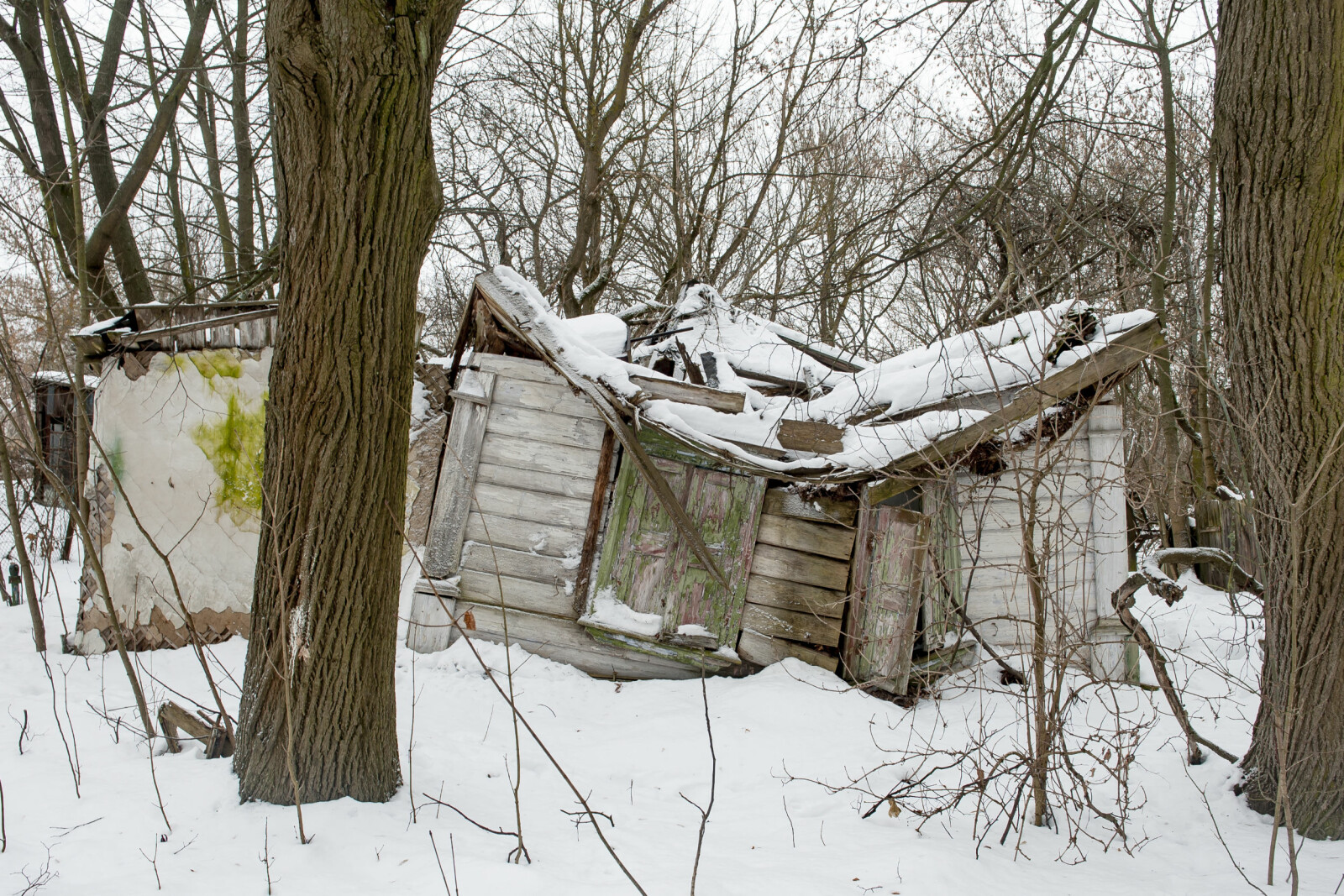 <b>TAR TILBAKE:</b> Landsbyen Zalissya. Befolkningen ble evakuert i 1986 med beskjed om at de kunne få vende tilbake snart. Det har ennå ikke skjedd. I Zalissya kan en se hva som skjer når menneskene forsvinner og naturen tar tilbake. <b>TAR TILBAKE:</b> Landsbyen Zalissya. Befolkningen ble evakuert i 1986 med beskjed om at de kunne få vende tilbake snart. Det har ennå ikke skjedd. I Zalissya kan en se hva som skjer når menneskene forsvinner og naturen tar tilbake.
