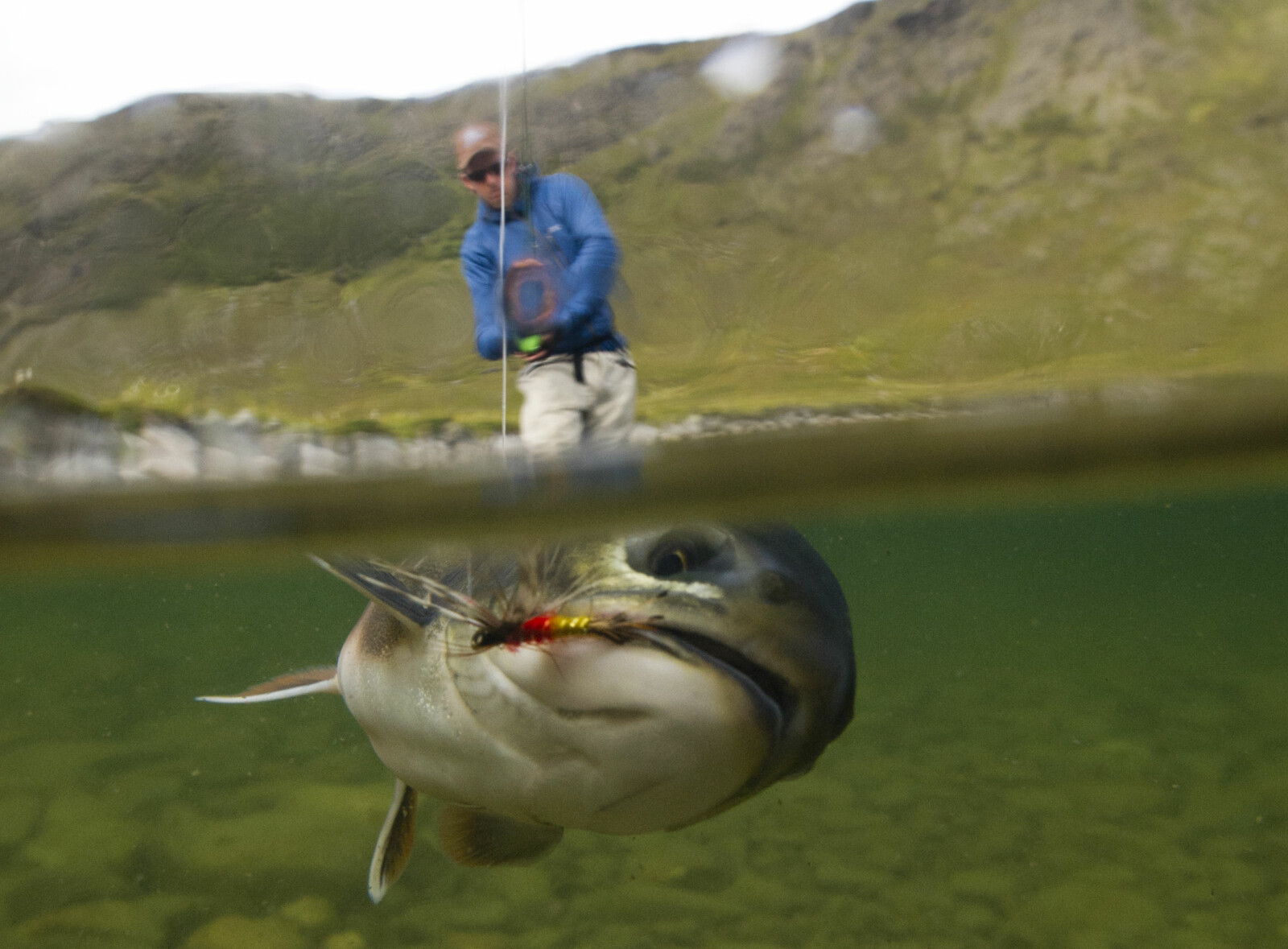 <b>TØFFING:</b> Sjørøya har store kraft-reserver og gir morsomme kamper. <b>TØFFING:</b> Sjørøya har store kraft-reserver og gir morsomme kamper.
