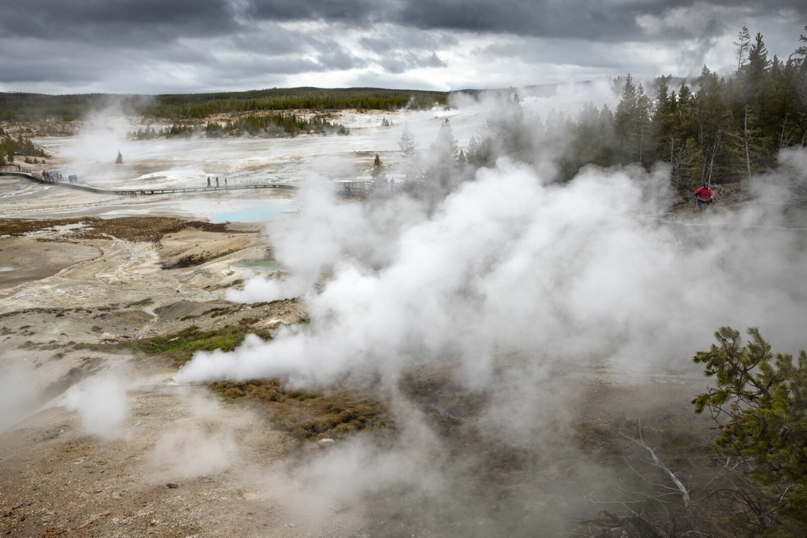 <b>SYDER:</b> I Norris Geyser Basin kryr det av turister. Plankestier har blitt snekret og alt er svært tilrettelagt for turistene. Men tåkebankene som tyter ut av hull i bakken, er ikke bare vanndamp. I 2004 ble det funnet fem døde bison her. Og de døde mest sannsynlig etter å ha innåndet giftige gasser. <b>SYDER:</b> I Norris Geyser Basin kryr det av turister. Plankestier har blitt snekret og alt er svært tilrettelagt for turistene. Men tåkebankene som tyter ut av hull i bakken, er ikke bare vanndamp. I 2004 ble det funnet fem døde bison her. Og de døde mest sannsynlig etter å ha innåndet giftige gasser.