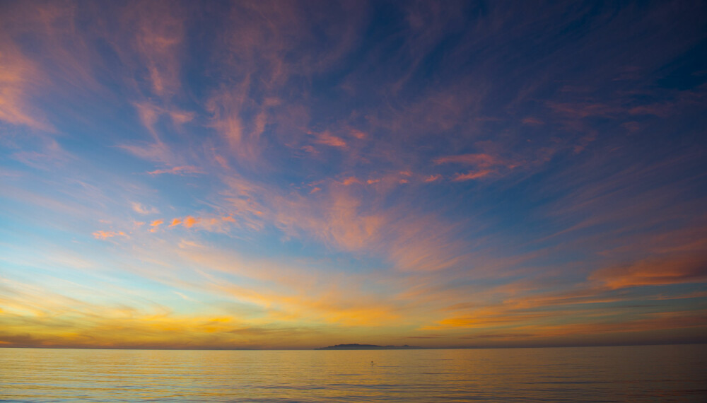 <b>STARTSKUDDET:</b> Livet startet i havet. <b>STARTSKUDDET:</b> Livet startet i havet.