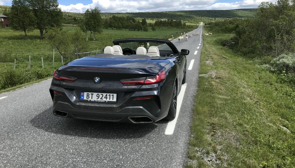 <b>LANDCRUISER: </b>Det er mange sauer på veiene i Norge. <b>LANDCRUISER: </b>Det er mange sauer på veiene i Norge.