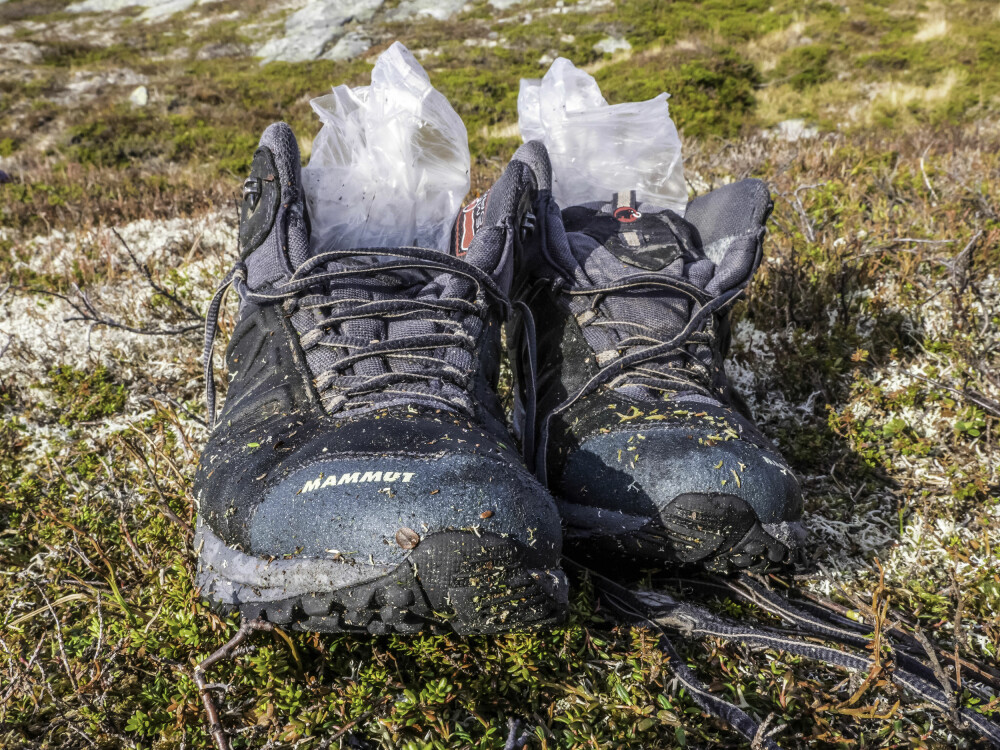 <b>GODT VALG:</b> Joggeskoene var et godt valg. De myke sålene sitter godt på underlaget, og man blir mindre sliten enn med tunge fjellstøvler. <b>GODT VALG:</b> Joggeskoene var et godt valg. De myke sålene sitter godt på underlaget, og man blir mindre sliten enn med tunge fjellstøvler.
